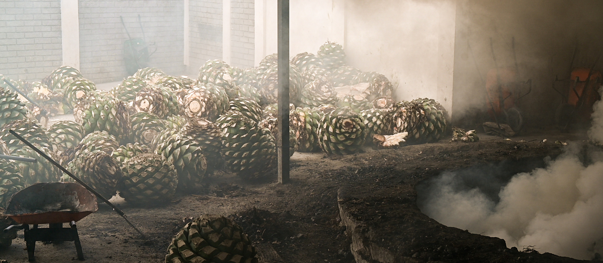 Agave is roasted in earthen pits lined with river stones. The roasting process takes 5-7 days.